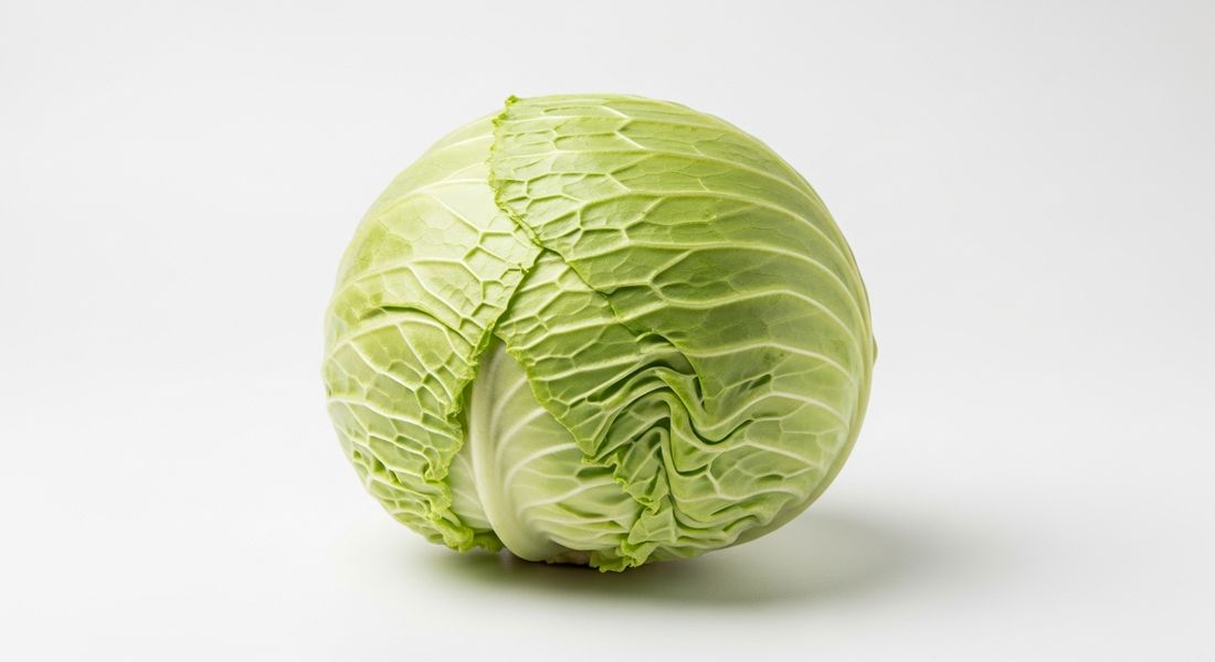 Cabbage, not allowed on the Tayyibat diet