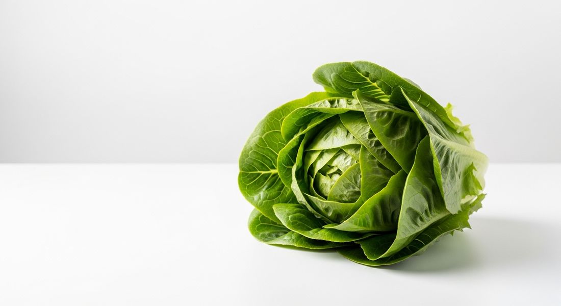 A head of lettuce, not allowed on the Tayyibat diet
