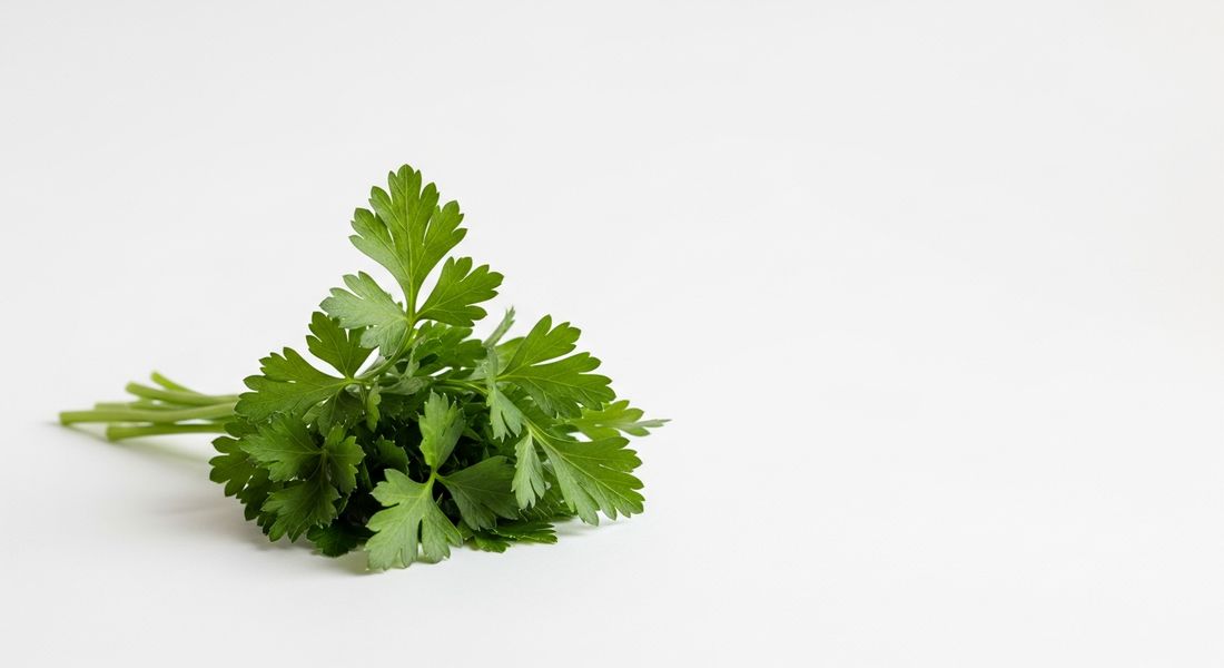 Parsley, not allowed on the Tayyibat diet
