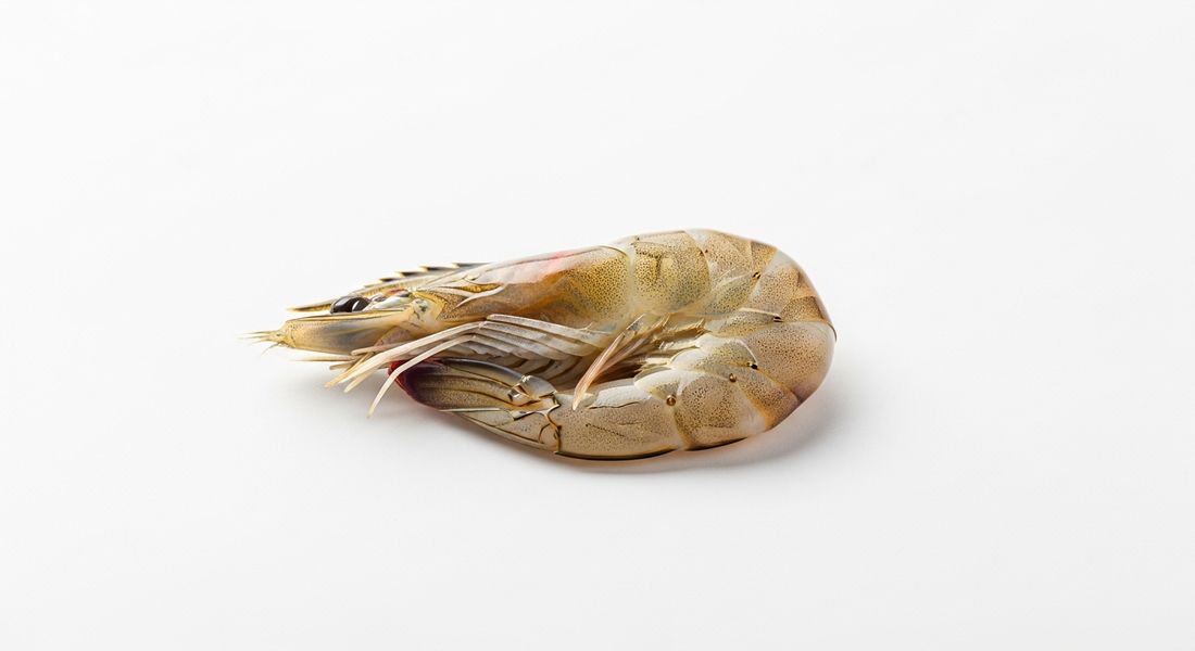 Shrimp, not allowed on the Tayyibat diet