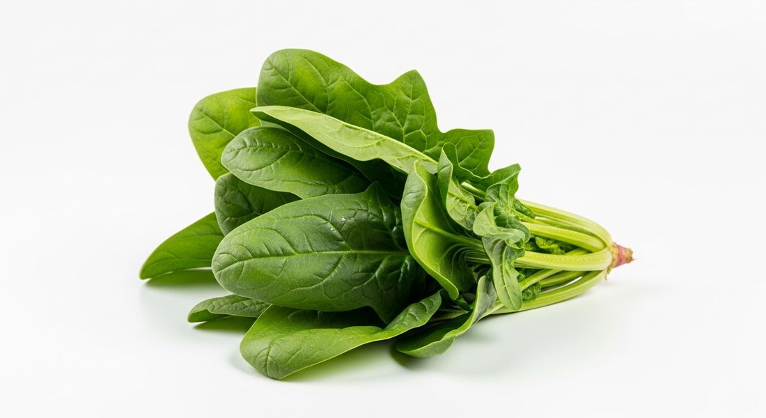 Spinach, not allowed on the Tayyibat diet